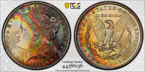 1884-O Morgan Dollar PCGS MS64 CAC Gorgeous Color Dual Rainbow Toned w/Video Cover
