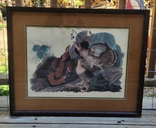RUFFED GROUSE Drawn from Nature By John J. Audubon Print  19.5”x24.5” Framed Art