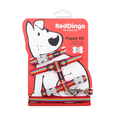 Red Dingo Puppy Pack (collar, lead & harness) - Rainbow Pride design - Image 1 of 4