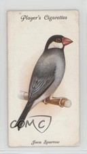 1933 Player's Aviary and Cage Birds Tobacco Java Sparrow #40 0kb5