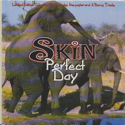 Skin - Perfect Day (VINYL) - Image 1 of 4