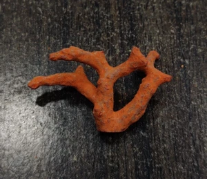 Beautiful Red Coral Unpolished Loose Rough Branch-Italian Red Coral Rough Tree - Picture 1 of 10
