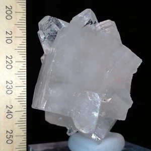 Apophyllite crystal cluster colourless points gemmy mineral specimen 643ct - Picture 1 of 11