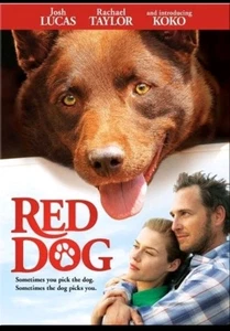 Red Dog (DVD, 2011) Josh Lucas, Rachael Taylor, Koko) ~FREE SHIPPING!~ - Picture 1 of 1