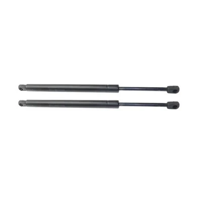 For Mitsubishi Eclipse 2006-2011 Lift Supports Driver and Passenger Side | Pair Foto 1 de 4