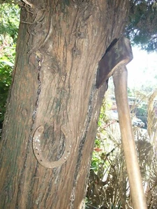 Vintage Hatchet  Head Marked  w Logo Cabin Axe Firewood Tools Lucky Collectables - Picture 1 of 12