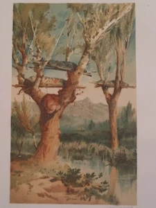DAKOTA TERRITORY INDIAN TREE-BURIAL FROM A SKETCH 1881 CHROMOLITHOGRAPHY - Picture 1 of 2