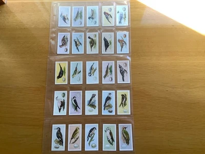 Cigarette  Trade cards  SWEETENHAMS CHESTERTON BIRDS & THEIR EGGS Qty 25 - Image 1 of 4