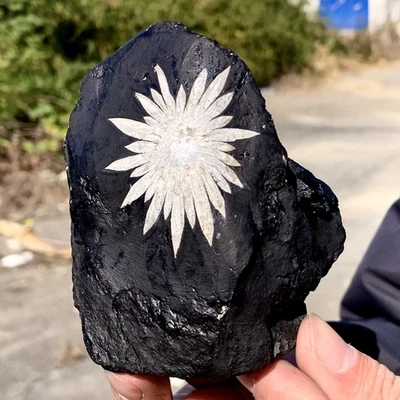 321G Natural chrysanthemum stone quartz carving aura healing gift - Image 1 of 4