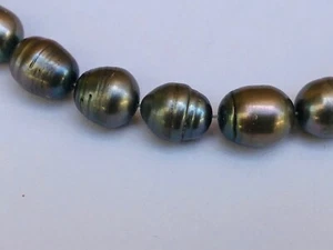 18” large Gray fresh water pearl necklace with sterling silver clasp - Picture 1 of 4