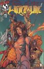 Tales of the Witchblade 1B Turner Variant FN 1996 Stock Image
