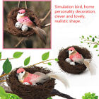 Garden Ornament Simulation Bird Nest Set Rattan Craft + Artificial Bird + E Z S1