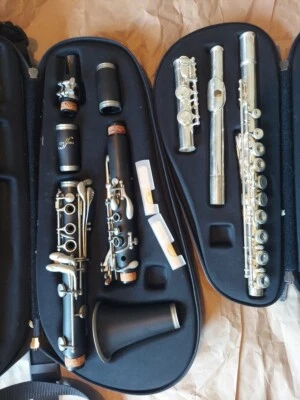 BOTH First Act Flute AND Clarinet With Cases, Good Condition - Image 1 of 3