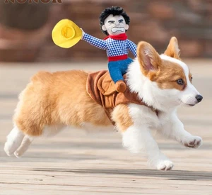 Disfraz Halloween Para Perro divertente equitazione cowboy animale domestico costume cane vestiti festa - Foto 1 di 13