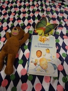 livre gallimard histoire la naissance bébé +nounours joli papillon =pour bébé - Picture 1 of 24