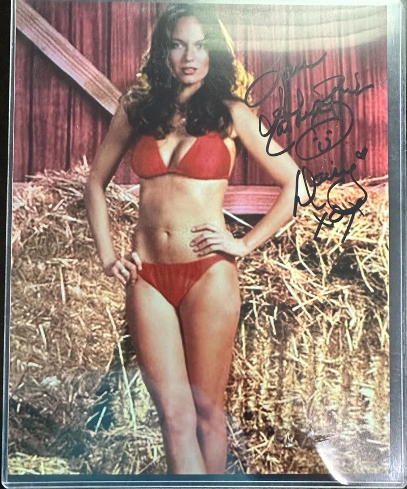 Sexy Catherine Daisy Duke Bach in Dukes of Hazzard 8x10 Framed Auto Rare Reprint - Image 1 of 1