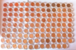Gold Toned Quarters State Territories Individual Cases Uncirculated 116 Quarters - Picture 1 of 21