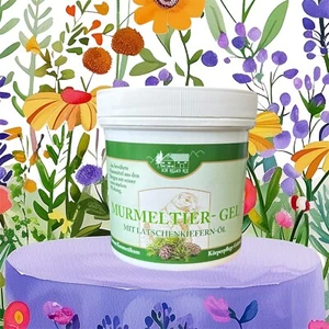 Murmeltier Gel mit Latschenkiefer 250ml Allgäu - Bild 1 von 2