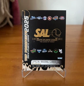 2025 South Atlantic League Top Aussichten Checkliste - Bild 1 von 2