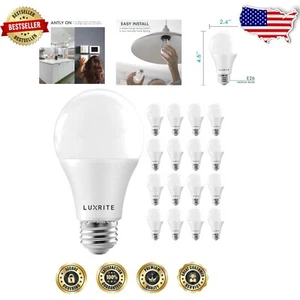 Indoor/Outdoor Dimmable A19 LED Light Bulbs - 100W Equivalent, 25,000 Hour Life - Picture 1 of 9