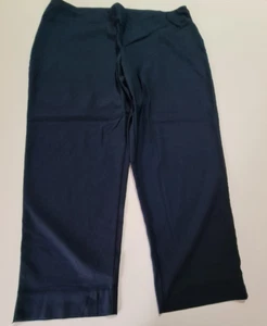 TS Taking Shape Basics Light Weight Stretch Blue Pants ~ Size 20 - Picture 1 of 6