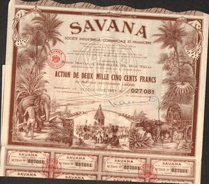 TOP DEKO => SAVANNE (BORDEAUX PONDICHERRY INDIEN) (L) - Bild 1 von 1
