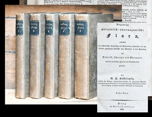 1831-36 Flora Pharmazie Kräuter-Medizin Kosteletzky Allgemeine medizinisch... - Bild 1 von 1