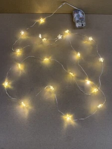 Battery Operated Flower String Lights on Copper Wire - Warm White - Picture 1 of 6