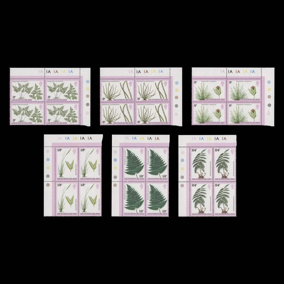 Блоки пластин папоротников и трав Ascension 1980 (MNH) - Изображение 1 из 1