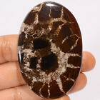 Natural Septarian Gronates Oval Cabochon Gemstone 161.5 Ct. 62X41x6 Mm Ee-45724