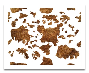 Stencil modello mucca - 11x9 - riutilizzabile colore, disegno, pittura stencil personalizzato arte - Foto 1 di 4