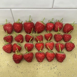 26 fresas de cristal con cuentas azucaradas vintage fresa imitación fruta tallo - Imagen 1 de 7