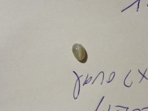 Chrysoberyl Cat's Cats Eye 1.1  Carats 4.53x7.09x3.41 Translucent Natural Flaws - Picture 1 of 2