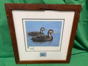 1982 Illinois Duck Stamp Framed Print Quiet Water Black Remarque Sinden - Picture 1 of 3