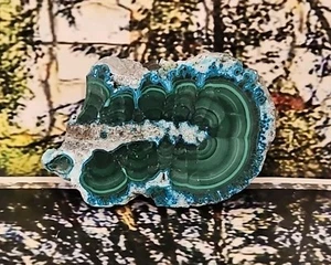 Natürlicher Malachit und Chrysokoll Platte 3,77 Unzen - Bild 1 von 2