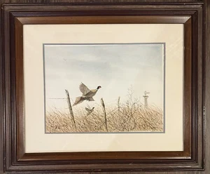 Original Don Griffiths Watercolor Fowl Painting 1985 - Picture 1 of 5
