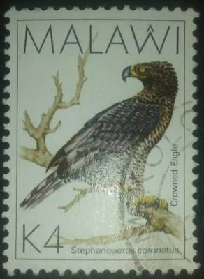 Travelstamps: MALAWI  Sc #532, used postage stamp, bird, K4 - Image 1 of 4