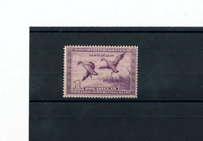 U.S. DUCKS RW 5 MNH. - Image 1 of 2