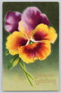 Embossed Birthday Greetings Postcard Pansy Flower Litho - Picture 1 of 3