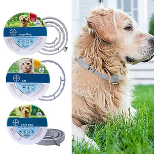 Pet Collar 1PC Treatment & Prevention Collar for Small Large Dog Cat - Picture 1 of 18