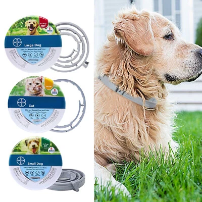 Collar mascotas Fl*ea Ti*ck Tratamiento Prevención Perro Grande Cachorro Gato - Imagen 1 de 4