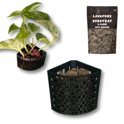 Aquarium Eck-Pflanzenhalter mit Saugnapf und Substrat Pflanzenkorb Hydrokultur - Bild 1 von 4