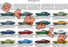 1969 Ford Mustang model year poster Grande GT Mach 1 Boss 302 429 Shelby GT 500