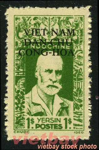 NORTH VIETNAM 1945-1946 Viet Minh Overprinted on Indochina Stamp Mint NGAI 1L1 Cover