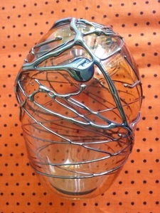 Silver Wrap Glass Vase by VanNopper - Picture 1 of 1