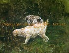 Italian Spinone Signed Dog Print by Susan Harper Unmounted