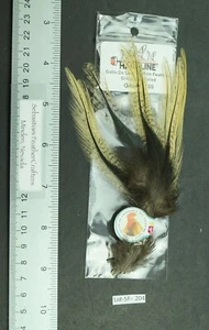 Hareline Gallo De Leon Ginger Speckled Saddle Hackles Lot-SF 204 - Picture 1 of 2
