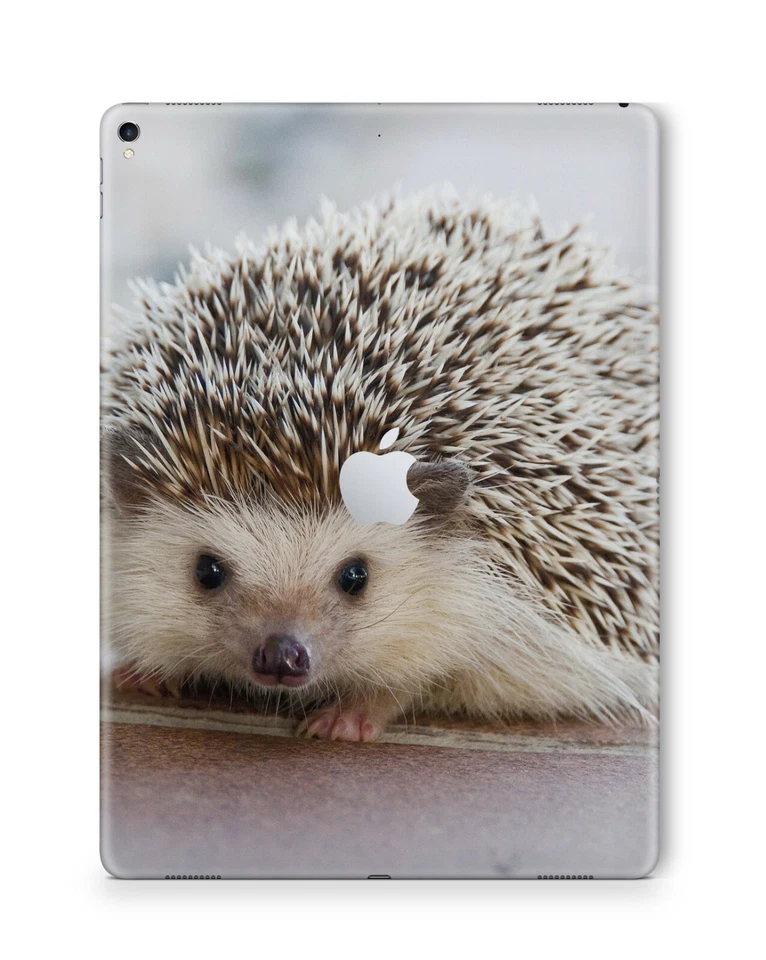 Apple iPad Skin Schutzfolie Aufkleber Design Sticker Folie Wraps Skins Igel - Bild 1 von 1