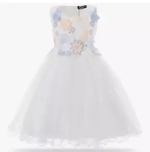 Cielarko Children Girl Dress Butterfly Flower Embroidery Formal size 4-5 NWT - Picture 1 of 5