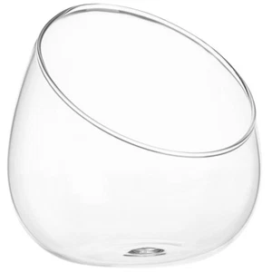 Plant Terrarium Clear Glass Vase Terrarium Bowl Succulent Candy Dish - Picture 1 of 11